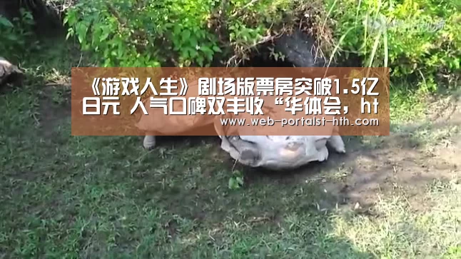华体会，hth，华体会官网