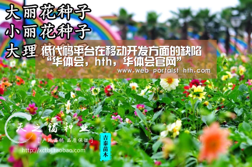 低代码平台在移动开发方面的缺陷“华体会,hth,华体会官网”(图1) 华体会,hth,华体会官网