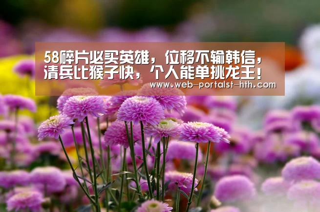 华体会，hth，华体会官网